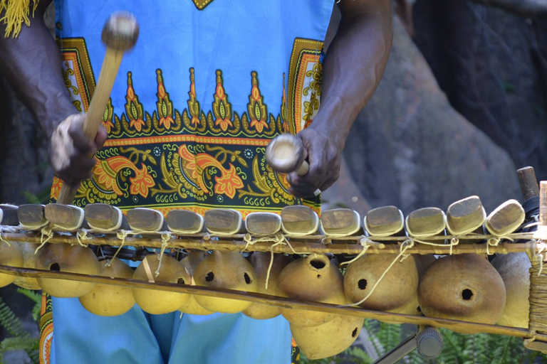 Cherif Badua - Balafón